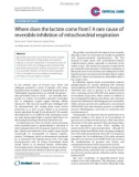 Báo cáo y học: Where does the lactate come from? A rare cause of reversible inhibition of mitochondrial respiration