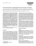 Báo cáo khoa học: Three-dimensional CT angiography of the canine hepatic vasculature