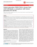 Báo cáo y học: Human parvovirus PARV4 DNA in tissues from adult individuals: a comparison with human parvovirus B19 (B19V)