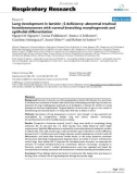 Báo cáo y học: Lung development in laminin γ2 deficiency: abnormal tracheal hemidesmosomes with normal branching morphogenesis and epithelial differentiation