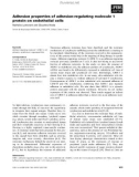 Báo cáo khoa học: Adhesion properties of adhesion-regulating molecule 1 protein on endothelial cells