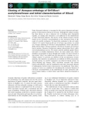 Báo cáo khoa học: Cloning of Xenopus orthologs of Ctf7/Eco1 acetyltransferase and initial characterization of XEco2