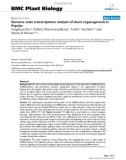 báo cáo khoa học: Genome scale transcriptome analysis of shoot organogenesis in Populus