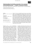 Báo cáo khoa học: Understanding the binding properties of an unusual metal-binding protein ) a study of bacterial frataxin