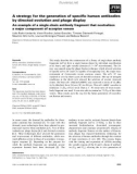 Báo cáo khoa học: A strategy for the generation of speciﬁc human antibodies by directed evolution and phage display An example of a single-chain antibody fragment that neutralizes a major component of scorpion venom