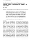 Báo cáo khoa học: Speciﬁc Immune Response of Mares and their Newborn Foals to Actinobacillus spp. Present in the Oral Cavity