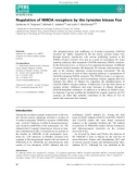 báo cáo khoa hoc : Regulation of NMDA receptors by the tyrosine kinase Fyn