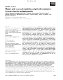 Báo cáo khoa học: Muscle and neuronal nicotinic acetylcholine receptors Structure, function and pathogenicity