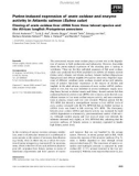 Báo cáo khoa học: Purine-induced expression of urate oxidase and enzyme activity in Atlantic salmon (Salmo salar)