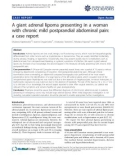 Báo cáo y học: A giant adrenal lipoma presenting in a woman with chronic mild postprandial abdominal pain: a case report