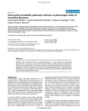 Báo cáo y học: Uncovering metabolic pathways relevant to phenotypic traits of microbial genomes