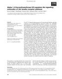 Báo cáo khoa học: Alpha 1,3-fucosyltransferase-VII regulates the signaling molecules of the insulin receptor pathway