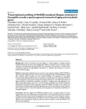 Báo cáo y học: Transcriptional profiling of MnSOD-mediated lifespan extension in Drosophila reveals a species-general network of aging and metabolic genes