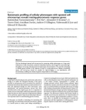 Báo cáo y học: Systematic profiling of cellular phenotypes with spotted cell microarrays reveals mating-pheromone response genes