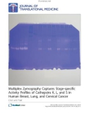 Báo cáo sinh học: Multiplex Zymography Captures Stage-specific Activity Profiles of Cathepsins K, L, and S in Human Breast, Lung, and Cervical Cancer