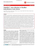 Báo cáo y học: Hepatitis C virus infection in Brazilian long-distance truck drivers