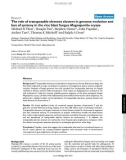 Báo cáo y học: The role of transposable element clusters in genome evolution and loss of synteny in the rice blast fungus Magnaporthe oryzae