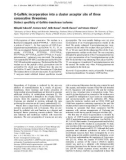 Báo cáo Y học: O-GalNAc incorporation into a cluster acceptor site of three consecutive threonines Distinct speciﬁcity of GalNAc-transferase isoforms