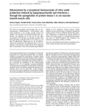 Báo cáo Y học: Enhancement by a-tocopheryl hemisuccinate of nitric oxide production induced by lypopolysaccharide and interferon-c through the upregulation of protein kinase C in rat vascular smooth muscle cells