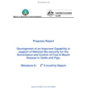 Báo cáo khoa học: Development of an Improved Capability in support of National Bio-security for the Surveillance and Control of Foot & Mouth Disease in Cattle and Pigs (Milestone 9)