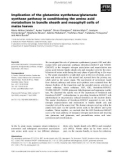 Báo cáo khoa học: Implication of the glutamine synthetase ⁄glutamate synthase pathway in conditioning the amino acid metabolism in bundle sheath and mesophyll cells of maize leaves