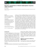 Báo cáo khoa học: Reaction mechanisms of thiamin diphosphate enzymes: redox reactions