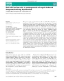 Báo cáo khoa học: Role of Kupffer cells in pathogenesis of sepsis-induced drug metabolizing dysfunction