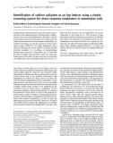 Báo cáo khoa học: Identiﬁcation of sodium salicylate as an hsp inducer using a simple screening system for stress response modulators in mammalian cells