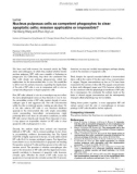 Báo cáo y học: Nucleus pulposus cells as competent phagocytes to clear apoptotic cells: mission applicable or impossible