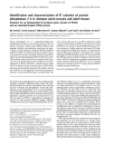 Báo cáo khoa học: Identiﬁcation and characterization of B¢¢-subunits of protein phosphatase 2 A in Xenopus laevis oocytes and adult tissues Evidence for an independent N-terminal splice variant of PR130 and an extended human PR48 protein