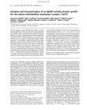 Báo cáo khoa học: Isolation and characterization of an IgNAR variable domain speciﬁc for the human mitochondrial translocase receptor Tom70