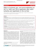 Báo cáo y học: Effects of ischemic pre- and postconditioning on HIF-1a, VEGF and TGF-b expression after warm ischemia and reperfusion in the rat liver