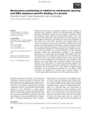 Báo cáo khoa học: Nucleosome positioning in relation to nucleosome spacing and DNA sequence-speciﬁc binding of a protein