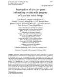 Báo cáo sinh học: Segregation of a major gene inﬂuencing ovulation in progeny of Lacaune meat sheep