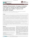 Báo cáo y học: Regional characterization of energy metabolism in the brain of normal and MPTP-intoxicated mice using new markers of glucose and phosphate transport