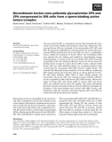 Báo cáo khoa học: Recombinant bovine zona pellucida glycoproteins ZP3 and ZP4 coexpressed in Sf9 cells form a sperm-binding active hetero-complex