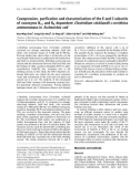 Báo cáo khoa học: Coexpression, puriﬁcation and characterization of the E and S subunits of coenzyme B12 and B6 dependent Clostridium sticklandii D-ornithine aminomutase in Escherichia coli