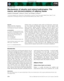 Báo cáo khoa học: Mechanisms of obesity and related pathologies: The macro- and microcirculation of adipose tissue