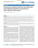 Báo cáo y học: Nucleosome rotational setting is associated with transcriptional regulation in promoters of tissue-specific human genes