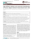 Báo cáo y học: High efficient isolation and systematic identification of human adipose-derived mesenchymal stem cells.