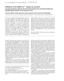 Báo cáo Y học: Inhibition of the SERCA Ca21 pumps by curcumin Curcumin putatively stabilizes the interaction between the nucleotide-binding and phosphorylation domains in the absence of ATP