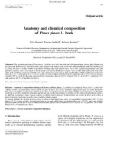 Báo cáo toán học: Anatomy and chemical composition of Pinus pinea L. bark