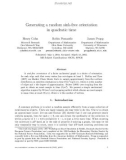 Báo cáo toán học: Generating a random sink-free orientation in quadratic time