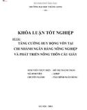 Khóa luận tốt nghiệp: Tăng cường huy động vốn tại Chi nhánh Ngân hàng Nông nghiệp và Phát triển Nông thôn Cầu Giấy