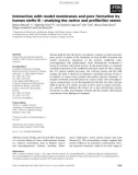 Báo cáo khoa học: Interaction with model membranes and pore formation by human steﬁn B – studying the native and preﬁbrillar states