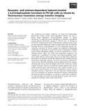 Báo cáo khoa học: Receptor- and calcium-dependent induced inositol 1,4,5-trisphosphate increases in PC12h cells as shown by ﬂuorescence resonance energy transfer imaging