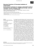 Báo cáo khoa học: Structural function of C-terminal amidation of endomorphin Conformational comparison ofl-selective endomorphin-2 with its C-terminal free acid, studied by 1 H-NMR spectroscopy, molecular calculation, and X-ray crystallography