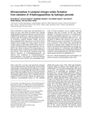 Báo cáo khoa học: Microperoxidase 8 catalysed nitrogen oxides formation from oxidation of N-hydroxyguanidines by hydrogen peroxide