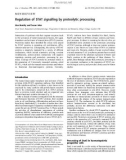 Báo cáo khoa học: Regulation of STAT signalling by proteolytic processing Lisa Hendry and Susan John