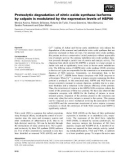 Báo cáo khoa học: Proteolytic degradation of nitric oxide synthase isoforms by calpain is modulated by the expression levels of HSP90